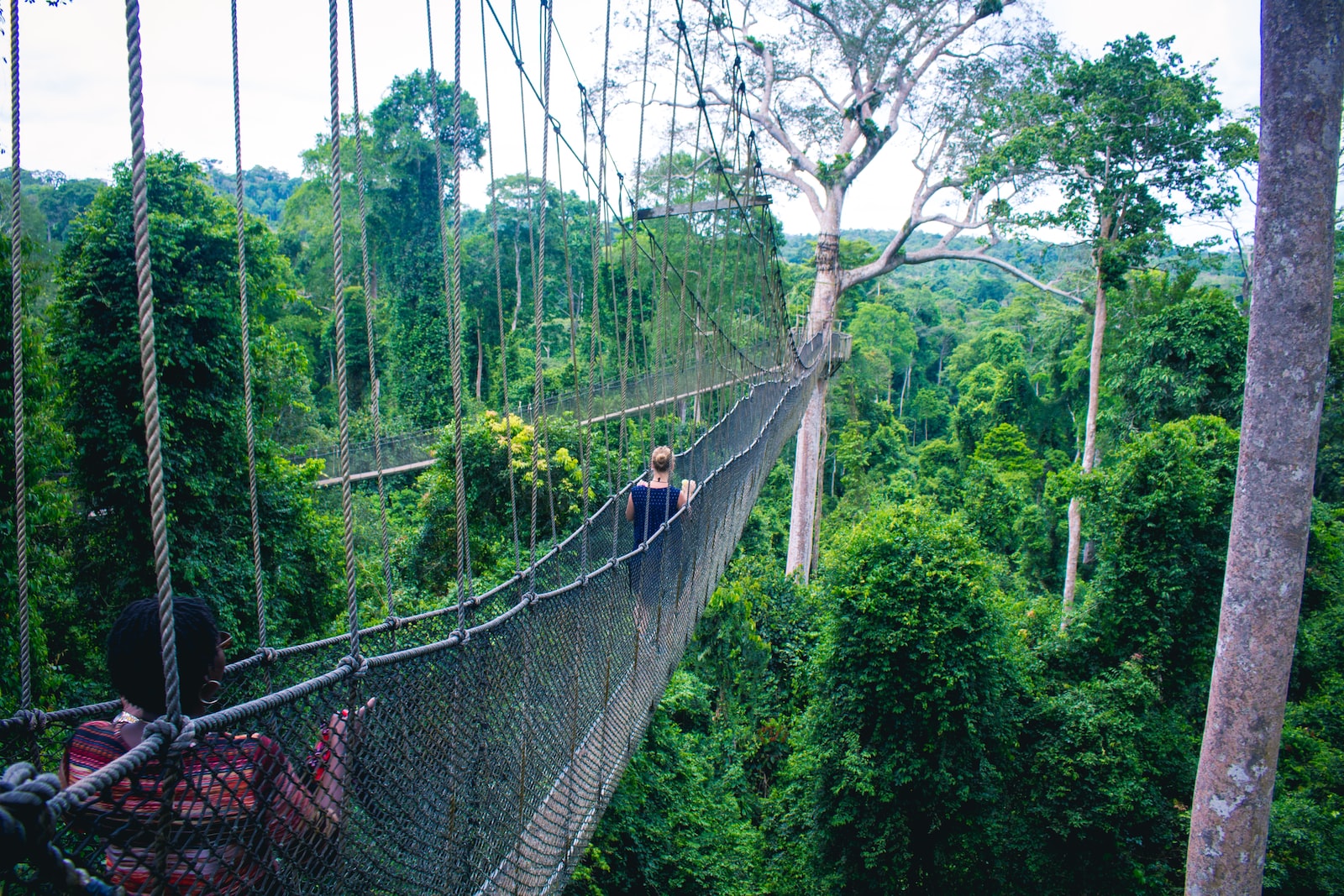 woman walking on hanging bridge